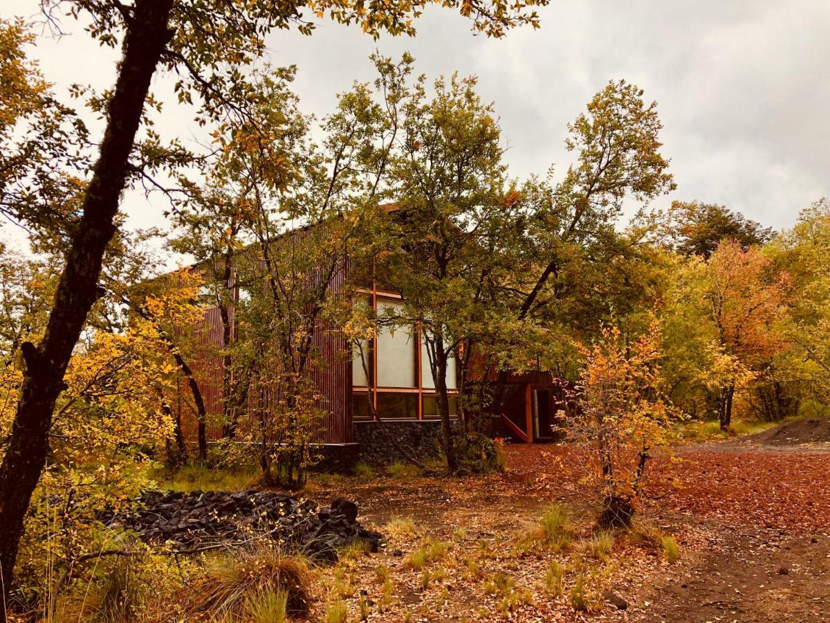 Chalet Cipres Las Trancas Exterior foto